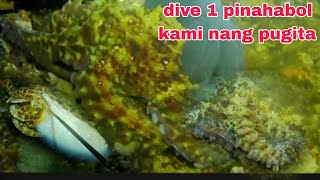 EP157 dive 1 pinahabol kami nang pugita night sperfishing philippines [upl. by Suhpesoj414]