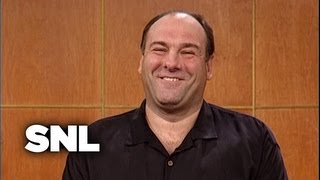 James Gandolfini  Saturday Night Live [upl. by Yngad314]