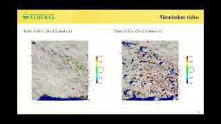 CFD DEM Simulations of Proppant Transport in Rough Fractures [upl. by Ecnahoy]