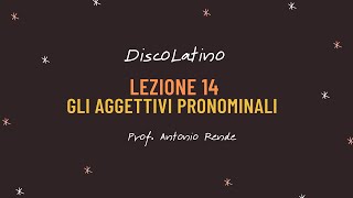 Lezione 14 gli aggettivi pronominali [upl. by Haddad]