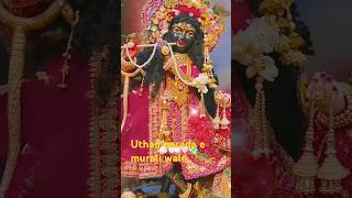 uthao parada e muraliwale love krishnawhatsup krishanlover laddu radheshyam [upl. by Trautman]