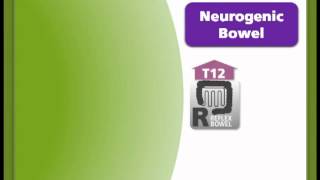 Bowel 13  Neurogenic Bowel [upl. by Hartfield]