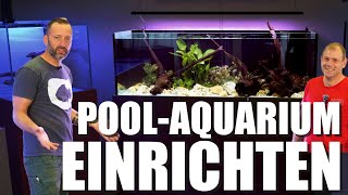 SO richtet man ein PFLEGELEICHTES 440L Süßwasseraquarium ein bei aquaemotionsaquarienbau [upl. by Feliza]