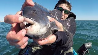 A Smile only Fisherman can Love Rhode Island Fall Tautog Fishing [upl. by Siloum724]