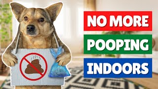 How to STOP Your Dog from Pooping Inside with These EASY TRICKS 🚫💩 [upl. by Yael431]