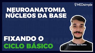 NEUROANATOMIA NÚCLEOS DA BASE  FIXANDO O CICLO BÁSICO 2x COM QUESTÕES [upl. by Nilat689]