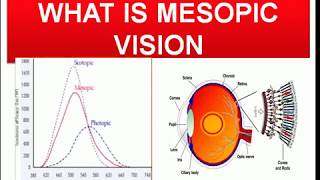 What is MesopicMYOPIC Vision and its importance in daily life Mesopic vision का हिंदी में मतलब। [upl. by Imot]