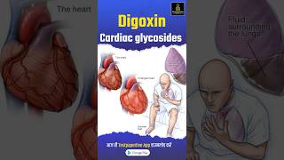 Digoxin  Cardiac glycosides  Short Review by Girvar sir digoxin cardiacglycosides nursing [upl. by Novahc]