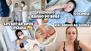 PRIMEIRAS 24 HORAS NA MATERNIDADE  PÓS PARTO CESÁREA  PRIMEIRO BANHO DO BEBÊ 🤎 [upl. by Styles]