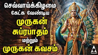 Tuesday Murugan Powerful Bakthi Padalgal  Murugan Devotional Songs [upl. by Merell]