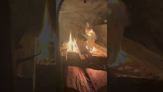 The Fastest Way to Start a Fire shorts fire firewood [upl. by Ttam]