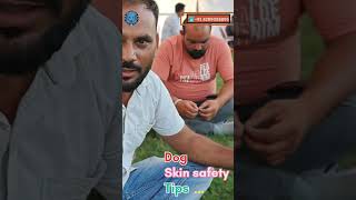 Casper ki Soft skin ka raaz 😱😱  Funny Rottweiler dog shorts ytshorts skin rottweiler funny [upl. by Aihsot]