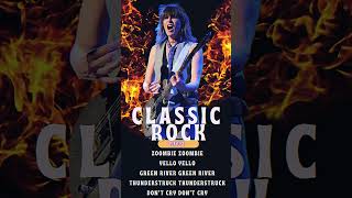 Unforgettable Classic Rock Concert Moments [upl. by Kinnie]