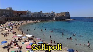 Gallipoli Puglia Italy 🇮🇹 2024 [upl. by Narret673]