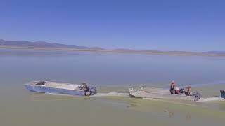 Utah lake Loy fisheries carp removal [upl. by Nenad524]