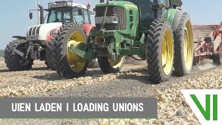 Uien laden  Loading onions  Landbouwbedrijf Twisk  Zeewolde The Netherlands [upl. by Ttocserp299]