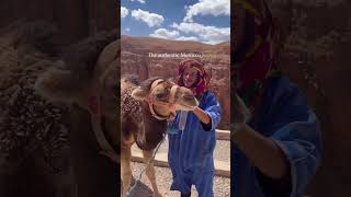 Experience the Real Morocco Culture Traditions and Beauty moroccotravel moroccotravelguide [upl. by Ahron]