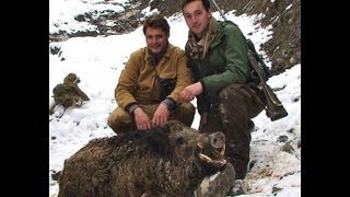 2013 WILD BOAR Sanglier ATTILA hunting chasse in TAJIKISTAN by SELADANG [upl. by Amoreta]