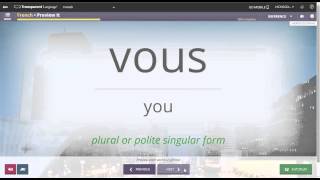 Transparent Language Online Grammar [upl. by Llessur]