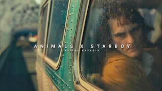 Animals x Starboy  Full Version  Aviral Kapasia  SlowedReverb [upl. by Allen]