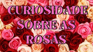 AS 5 CURIOSIDADE SOBRE AS ROSAS [upl. by Aiken566]