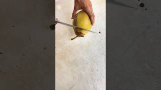 Coconut cutting coconut cuttingskills asmr satisfying youtubeshorts shorts [upl. by Blunk]