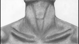 How to draw a realistic mans neck with graphite pencils graphitepencildrawing neck [upl. by Akered]