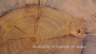 Norfolk Island Pine Live Edge Wood Slab [upl. by Kciv]