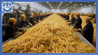 How Millions Of Tons Of French Fries Are Made From Harvesting Delicious Potatoes [upl. by Sivartal]