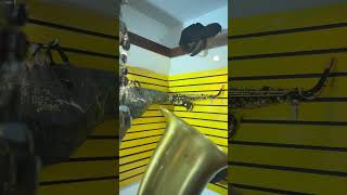 Sax Barítono Santoni Pare saxophone saxofonebrasileiro luthier [upl. by Airotcivairam583]