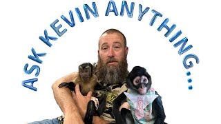 Join us for some questions specifically for Kevin monkeys spidermonkey animals pets family [upl. by Ecnahoy]