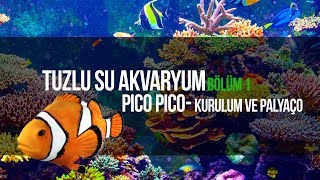 EVE MİNİK OKYANUS KURMAK  TUZLU SU KURULUM BÖLÜM 1 [upl. by Oettam]