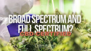 Broad Spectrum vs Full Spectrum Which CBD Oil is Right for Your Wellness [upl. by Aveline]