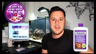 Day 16 Fishless Cycle  Quick update and Kraken Corals Delivery 💌 [upl. by Mccready941]