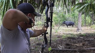 IS ARCHERY HUNTING good or bad [upl. by Revert]