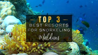 SNORKELING IN THE MALDIVES 2022 🐠🦈 The 3 Best Resorts with INSANE House Reefs to Snorkel 4K UHD [upl. by Ial]