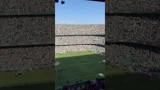 Betis fans before match vs Espanyol 10 laliga shorts footballpassion [upl. by Ier]