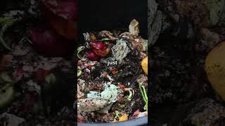 DIY Compost Bin Easy Steps garden diy gardentips gardening foryou [upl. by Matthus764]