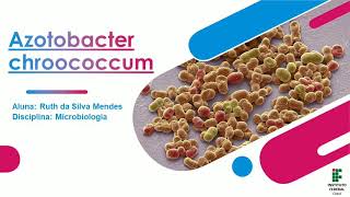 Azotobacter chroococcum [upl. by Vivyan]