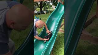 Miniature Pinscher Puppy Loves to Go Down Slide  1535180 [upl. by Esau]