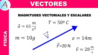 MAGNITUDES ESCALARES Y VECTORIALES [upl. by Muriah164]