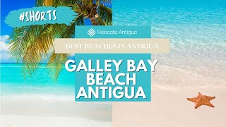 🏝️ Galley Bay Beach  ANTIGUA AND BARBUDA shorts [upl. by Eelirak]