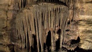 ForestvilleMystery Cave State Park virtual tour [upl. by Thetes]