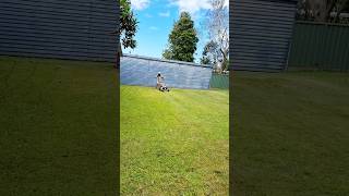 Australia 🇦🇺 lawn mowers  kids fun [upl. by Biles]