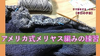 アメリカ式メリヤス編みの練習【本日の手芸】todays handicraft [upl. by Saucy]