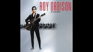 In DreamsRoy Orbison Stereo1 1963 7 [upl. by Aiyotal938]