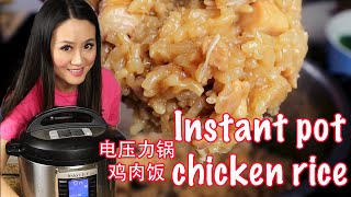 One instant pot Chinese chicken rice 快煲电压力锅鸡肉饭 [upl. by Ruiz463]