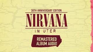 Nirvana  In Utero 30th Anniversary Edition [upl. by Neille]