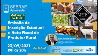 Quintas do Agro  Emissão de Inscrição Estadual e Nota Fiscal de Produtor Rural [upl. by Cyprio]