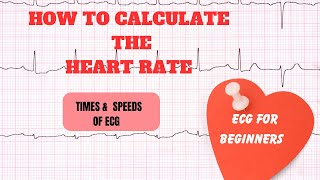 How to Calculate the Heart Rate MedWise679 [upl. by Nywloc]